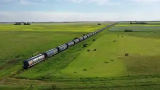 Alberta hopper cars sitting on an abandoned CPR line near Deleau, Manitoba