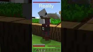 Minecraft ~ Expectation vs Reality ~ Minecraft Raid