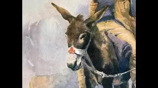 ANZAC Tribute