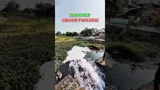 This river couldn't breath because of 200 tons of trash #saigonxanh #cleaning #satisfying #shorts
