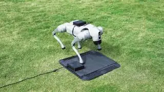 robot dog wireless charging
