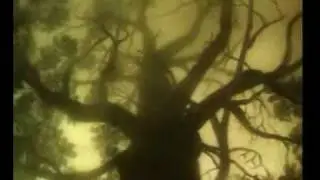 ezik v tumane