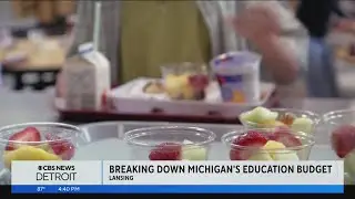 Breaking down Michigan's education budget
