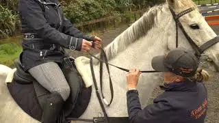 How to use your hands in Dressage with Kirstin Kelly
