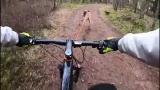 I Can't Believe This Dog Run Faster Than A Bike Rider