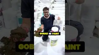 How this Startup turns Cow Dung into Beautiful Paint! #shorts #mangeshshinde