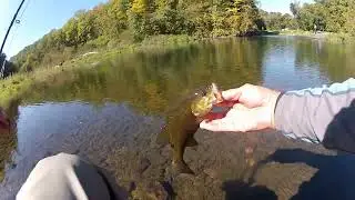 Apple Canyon State Park, 2022 fall trout pre-season