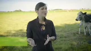 Bon pour ma ferme, bon pour le Climat - Ferme de Cytise (54) - Teaser