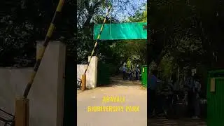 Aravali Biodiversity Park...#biodiversity #aravali #delhi #biodiversitypark