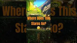 YOU WOULDN'T BELIEVE  WHERE IT GOES🙀🤯😱 #viralshort #shorts