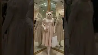😺✨ Stylish Cat Model Walk | Cute Cat Ramp Walk Shorts 🐾💃 #viral #youtubeshorts #trendingshorts #cute