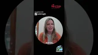 Наиболее востребованное раскрытие информации об устойчивом развитии от CDP