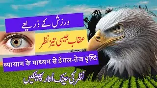 Daily routine easy eye exercises to improve vision | aankh ki exercise #eyevision #eyehealth #yoga