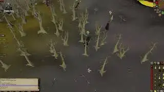 ENDLESS Wildy Clash ⚔️ Small Clan War in OSRS | Old School RuneScape PvP Action!