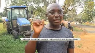 RESIDENTS ARE WARNED OVER REARING ANIMALS IN THE TOWN CENTRE OF KASESE MUNICIPALITY