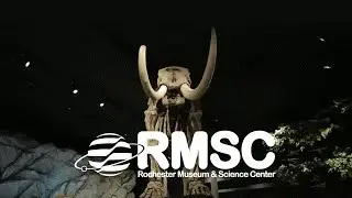 Invest in the future. Invest in Rochester. Support RMSC.