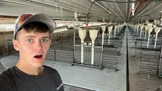 Expensive maintenance on Hog Barns - 18 year old farmer