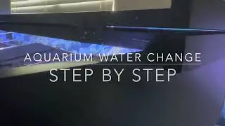 Monster Tank Aquarium Water Change -Step by Step Instructions - Stingrays, Arowana, Dorado, Frontosa