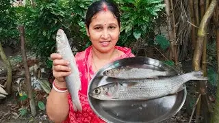 আলু দিয়ে ভাঙ্গন মাছের সুস্বাদু ঝোল রেসিপি ।। Bhangan fish recipe ।।