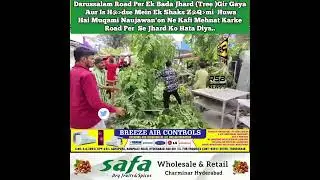 Darussalam Road Per Ek Bada Jhard (Tree )Gir Gaya Muqami Naujawan'on Ne Kafi Mehnat Karke Road Per 