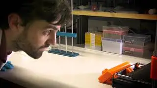 Paul Bourgine &ndash; Skeletal tissue regeneration