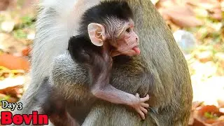 Newborn baby Bevin more cute, Good healthy and has activity from day by day stay