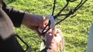 Shane Ransley QS Horsemanship tying the hackamore knot.
