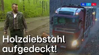 Dreister Holzklau im Wald: Wie &Uuml;berwachungskameras und GPS-Tracker den T&auml;ter entlarvten