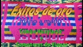 Comun Huaylarsh y Comuneros de Viques.