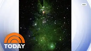 NASA shares stunning photos of 'Christmas Tree Cluster' in space