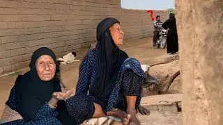 شفوا الحیاة الریفیة العربیة | وحكاية يوم ريفي لا يُنسى 🐔