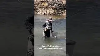 Guided Fishing Trips in PA #fishing #flyfishing #trout #guidedfishing #fishingguide #fishpa #viral