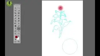 Adobe Photoshop (All Custom Shape Tools, Path, Shape & Pixels) | Urdu/Hindi | Class 10