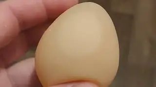 Shelless  Guinea  Egg  🥚