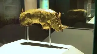 Разгорается культурная война из-за фигурки золотого носорога из Южной Африки