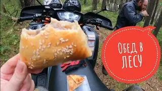 Обед в лесу 