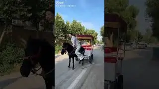 Evening hustle. 10 yuan per person horsecart ride