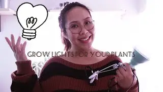 Grow lights for your indoor plants that is worth a try + my Anthurium plants