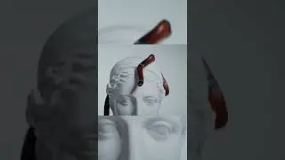 Beautiful snakes 4k