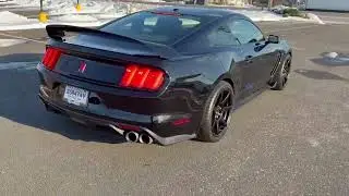 2017 Ford Mustang Shelby GT 350 R