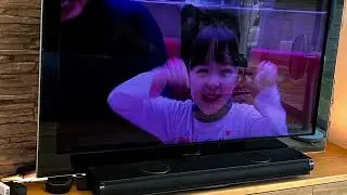 Ниигата 2024