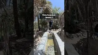 Dive into Adventure: Underwater Parkour with Osmo Action 5 Pro