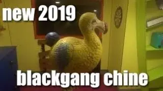 📽 NEW 2019 - dodo in the crooked house - blackgang chine- isle of wight