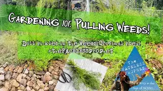 Gardening 101: Pulling Weeds w/ Dr. Green Thumb -Dill Pickled in the Weeds Poem #theFACELESSprophet