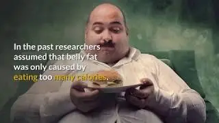 Stop Fat Storage Review - Does it's a Scam? TRUTH EXPOSED!