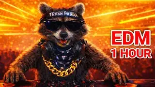 🦝 Workout Challenge EDM Mix 1 Hour+ | Bass Boosted 🔥