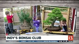 Indianapolis Bonsai Club 3