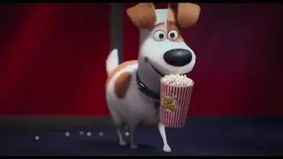Sekretne życie zwierzak&oacute;w domowych 2 - Zwiastun PL (Official Trailer)