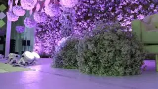 Vidira Concept Dana Wedding Video
