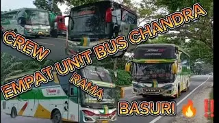 KEREN ‼️ SUARA BASURI BUS CHANDRA 🔥‼️BERBEDA BEDA RUPA NYA ‼️#simpanglidahtanah #bayuofficial08